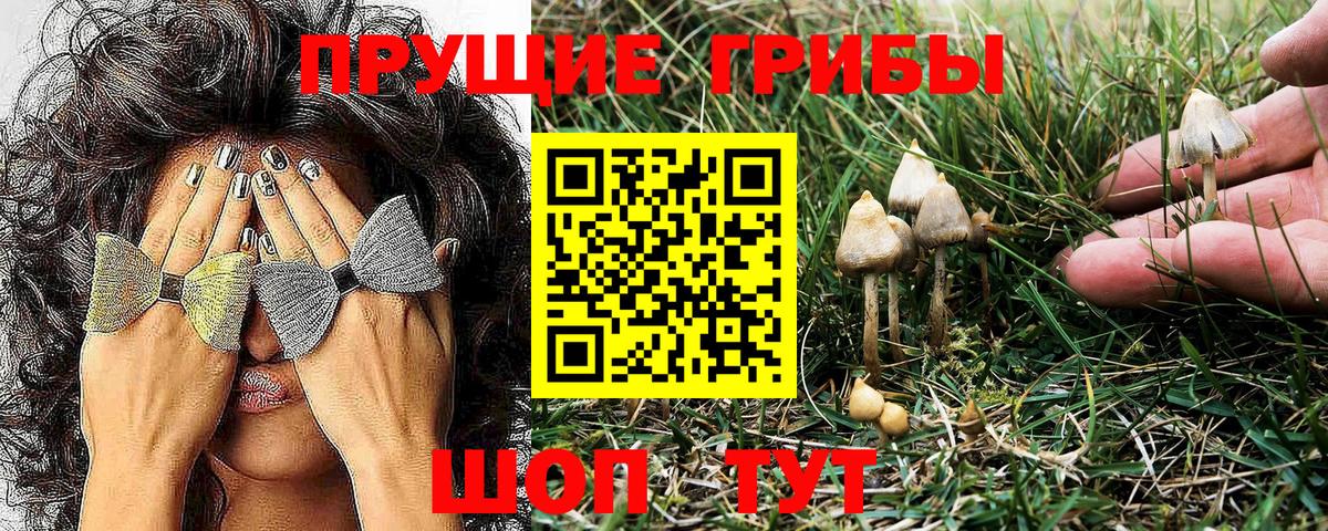 Галлюциногенные грибы Psilocybe  Псилоцибиновые грибы Psilocybine cubensis  Химки  Вход с VPN 